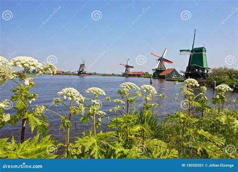 Windmills at Zaanse Schans stock image. Image of amsterdam - 18050501