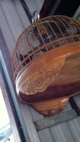 Cu Gay Giong Tho Youtube