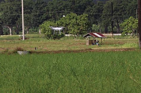 Philippines Looks To Drones To Boost Farming Opengov Asia