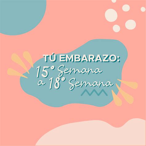 Tu Embarazo En La 15° Semana A La 18° Semana