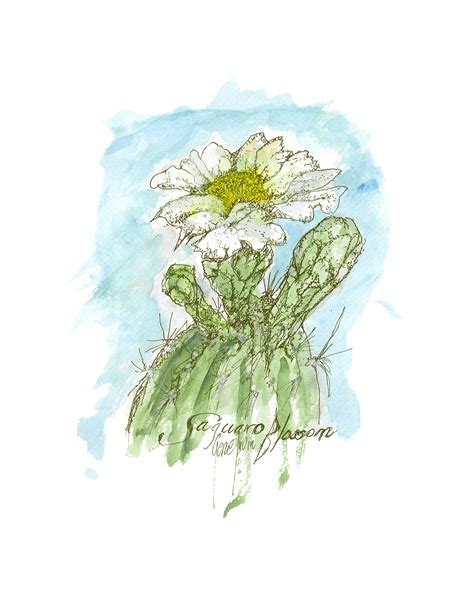 Saguaro Cactus Blossom – Gene's Pen & Ink