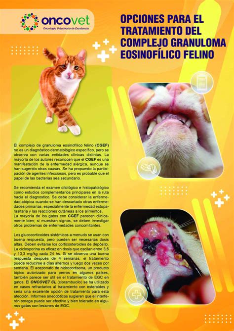 OPCIONES PARA EL TRATAMIENTO DEL COMPLEJO GRANULOMA EOSINOFÍLICO FELINO