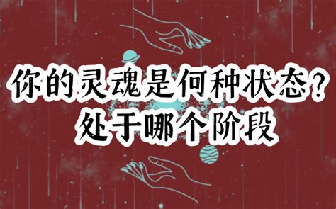 【白鹤tarot】你的灵魂是什么状态？处于哪个阶段 哔哩哔哩