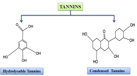 Figure1 Types Of Tannins And Their Basic Structures Tannins In