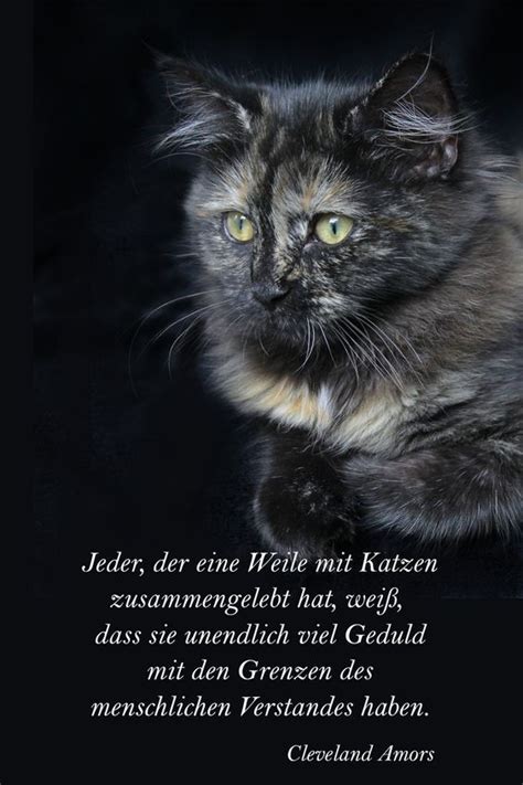 Pin Auf Katze In 2024 Katzen Katzen Zitate Spruch Katze