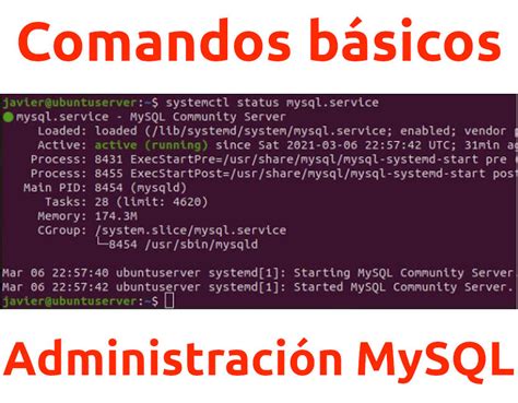 Comandos De Base De Datos Mysql