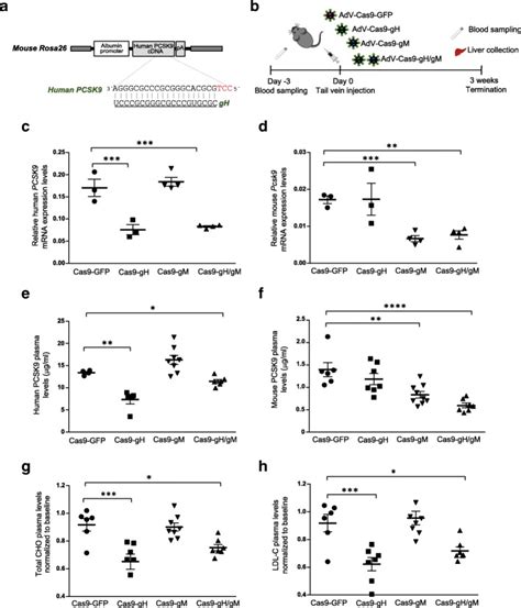 In Vivo Genome And Base Editing Of A Human Pcsk9 Knock In