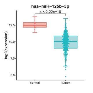 The Expression Of Mir B P Is Decreased In Ec Cells A Differential