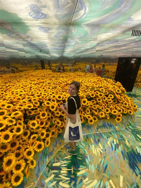 Visit Immersive Van Gogh Exhibit In Houston Artofit