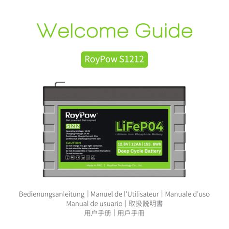 RoyPow S1212 User Manual