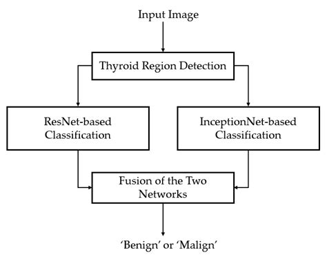 Flow Chart Of The Deep Learning Based System Constructed By Combining Download Scientific