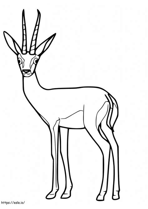 Gazelle 1 Coloring Page