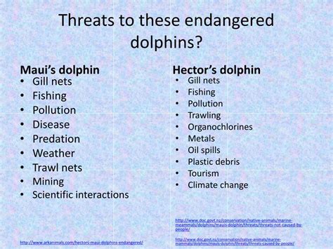 PPT - Endangered Dolphins PowerPoint Presentation, free download - ID:2123829