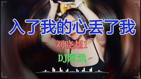 刘晓超 入了我的心丢了我的魂dj阿远 Dance Mix 国语男 最佳慢舞音乐tiktok Youtube Music