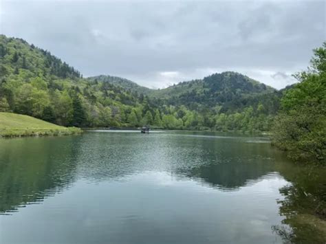 Best Walking Trails In Rabun Gap Alltrails