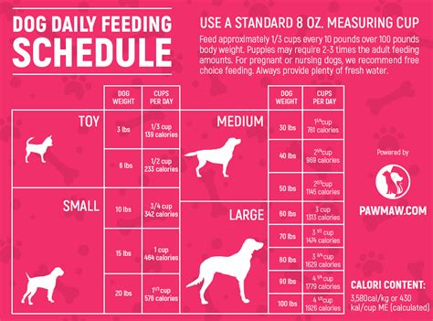 Dog Food Chart Uk At Duane Wright Blog