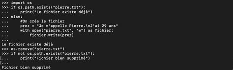 Opérations Sur Les Fichiers En Python Pierre Giraud