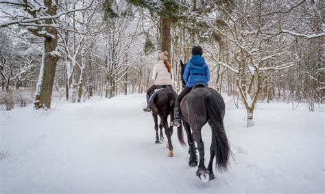 Horseback Trail Rides — This Is The Place Heritage Park