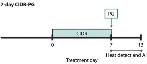 Heat Detection Only Protocol For Heifers 7 Day Cidr Pg Download Scientific Diagram