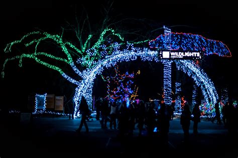 Alexander Chamas Photography: Wild Lights at the Woodland Park Zoo