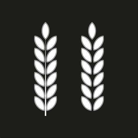 Premium Vector White Spikelets Black Background Vector Illustration