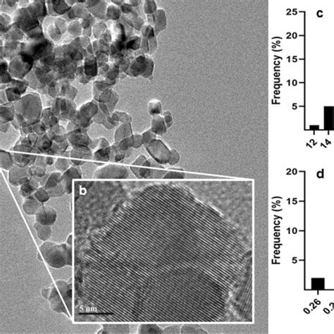 Transmission Electron Microscopic Tem Image Of Tio Nanoparticles