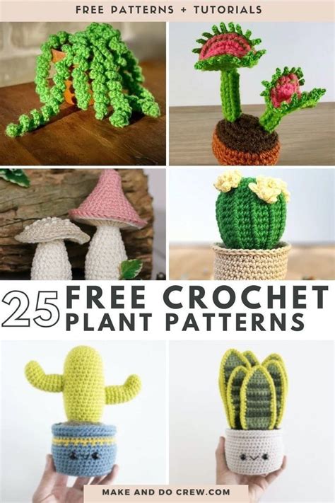 Free Crochet Plant Succulent And Cactus Patterns Crochet Plant