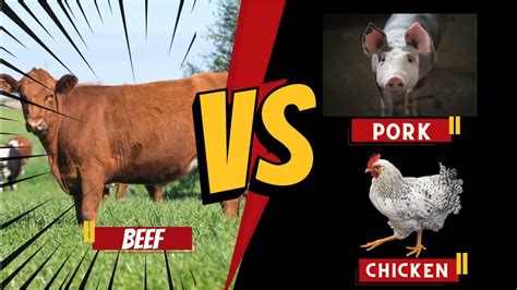 Beef Vs Pork Vs Chicken Youtube