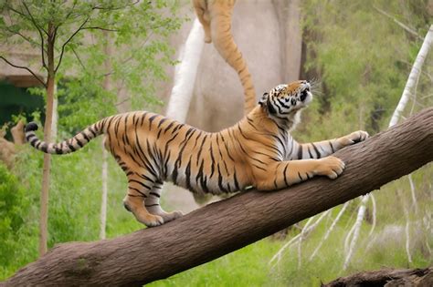 Premium Photo | Tiger in the nature habitat tiger male