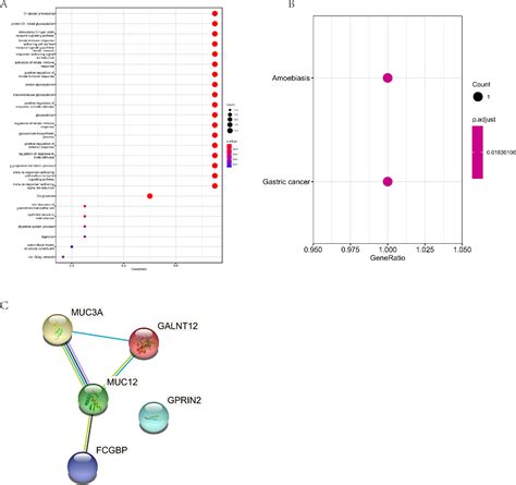 Figure 2 From Whole Exome Sequencing Reveals Mutational Signature Of