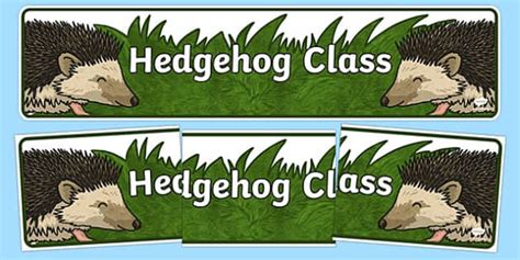 Free Hedgehog Themed Classroom Display Banner Twinkl