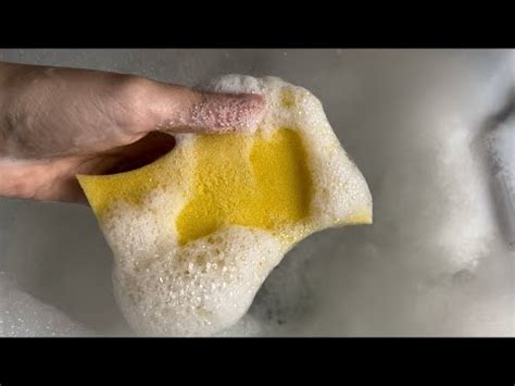 Soapy Kitchen Sponge Ripping Asmr Youtube