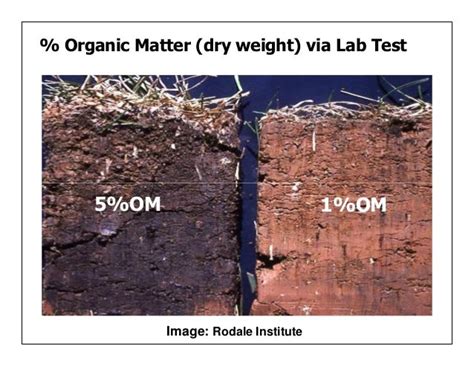 Managing Organic Matter For Soil Health And Fertility