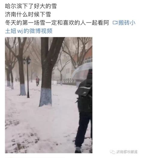 实名羡慕！北方多地下雪冲上热搜！济南明天气温跌破零点…… 澎湃号·政务 澎湃新闻 The Paper