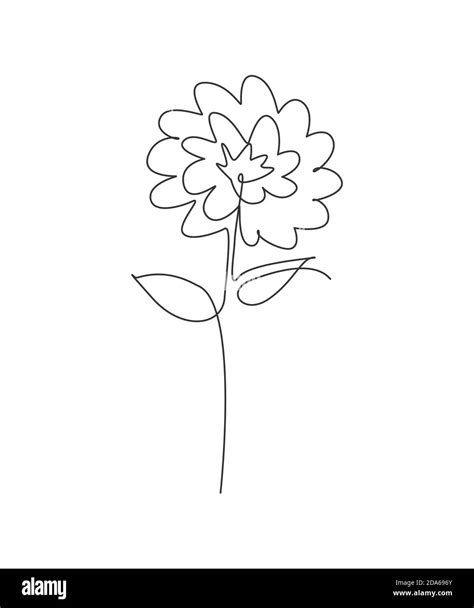 One Single Line Drawing Beauty Aster Flower Vector Illustration