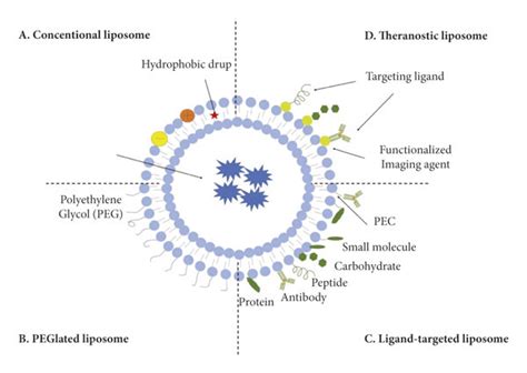 Schematic Diagram Of The Drug Delivery System Download Scientific