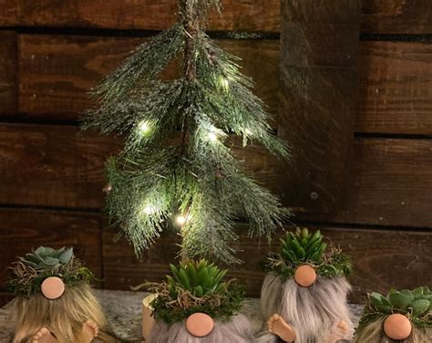 Plaid Forest Faux Succulent And Gnome Plant Etsy