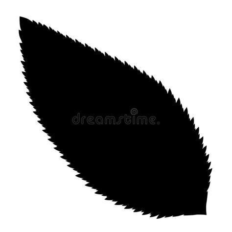 Cherry Leaf Silhouette Black Isolated On White Detailed Contour