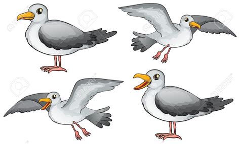 Seagull the world clip art - WikiClipArt