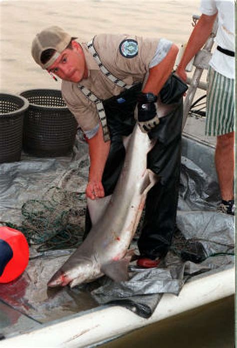 Coming: Changes in catch limits for Texas anglers