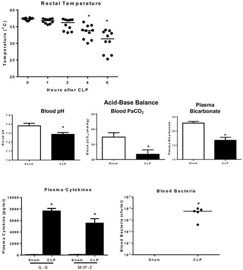 Progression Of Sepsis In The Cecal Ligation And Puncture Clp Model