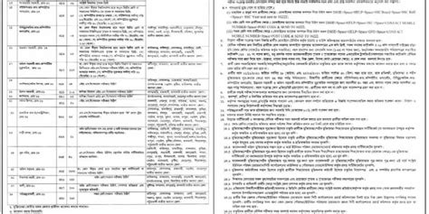 Government Job Circular Bd Job Circulars