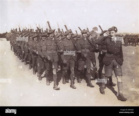 March Past At Medal Presentation Ceremony Ww1 Stock Photo Alamy