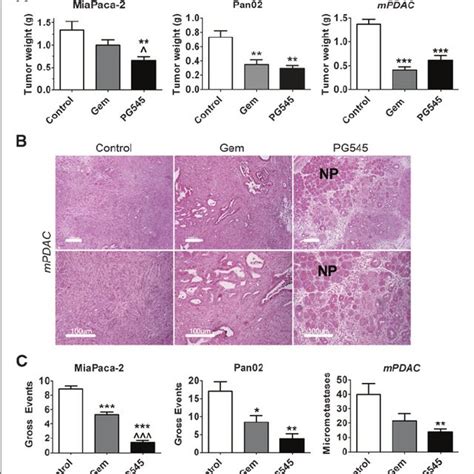 PG545 Inhibits Primary Tumor Growth And Metastasis A Orthotopic Pan02