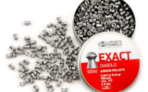 Top 6 Most Accurate 177 Caliber Pellets In 2025 And Buying Guide