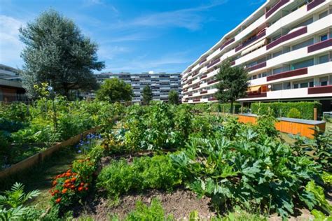 Jardins Potagers Urbains Jardins