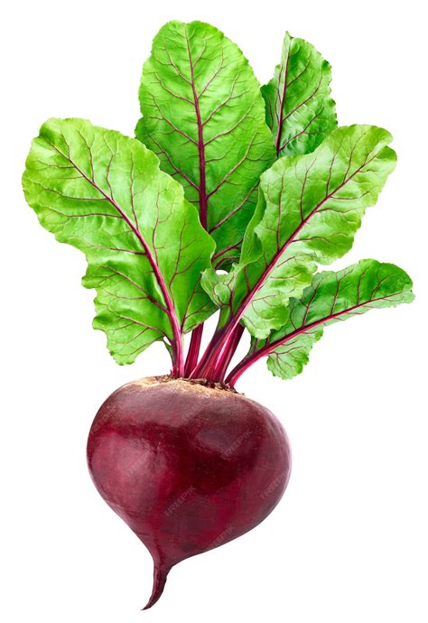 Premium Photo Beetroot Isolated On White Background With Clipping