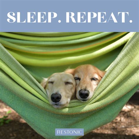 heart sleep restonic handcrafted mattresses