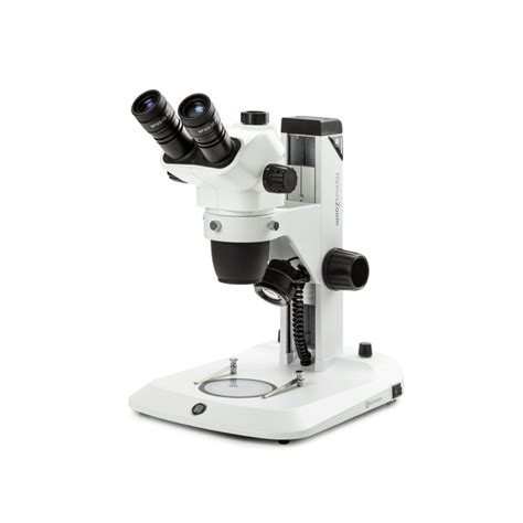 Stéréo Microscope