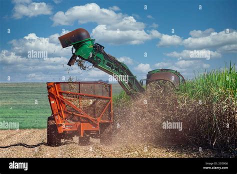 Machine harvesting sugar cane plantation Stock Photo - Alamy